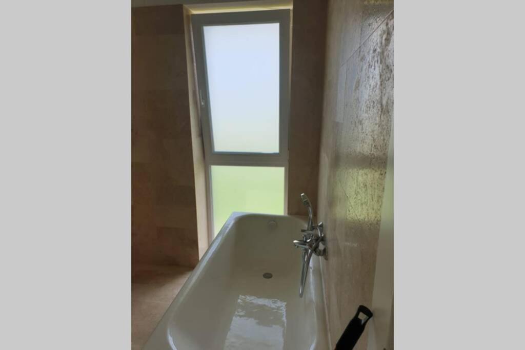 Garden Leisure Apartments Braşov Dış mekan fotoğraf